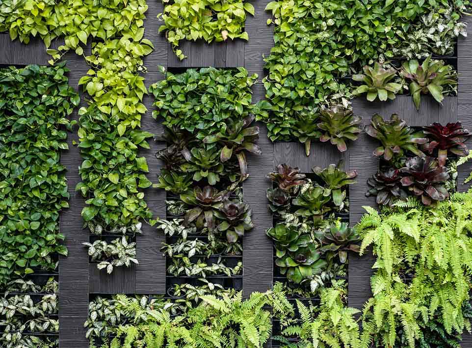 Vertical Garden